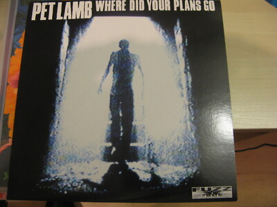 Pet Lamb - where did your plans go - 10 inch Record - Vinyl - new