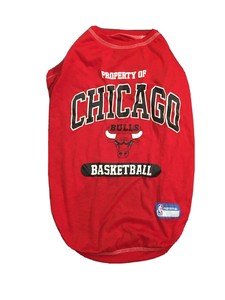 chicago bulls dog jersey