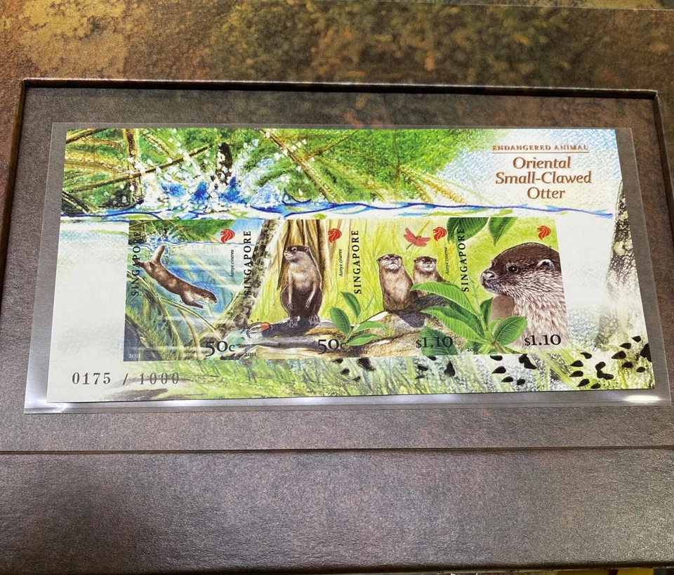 Singapur 2011 Endanger Animal -Clawed Otter Collector's Sheet Edición Limitada Foto 2 de 3
