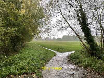 Photo 12x8 It was raining Trumpington The things we do to get a photo ever c2021