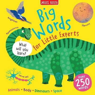Big Words (Gebundene Ausgabe) Big Words for Little Experts