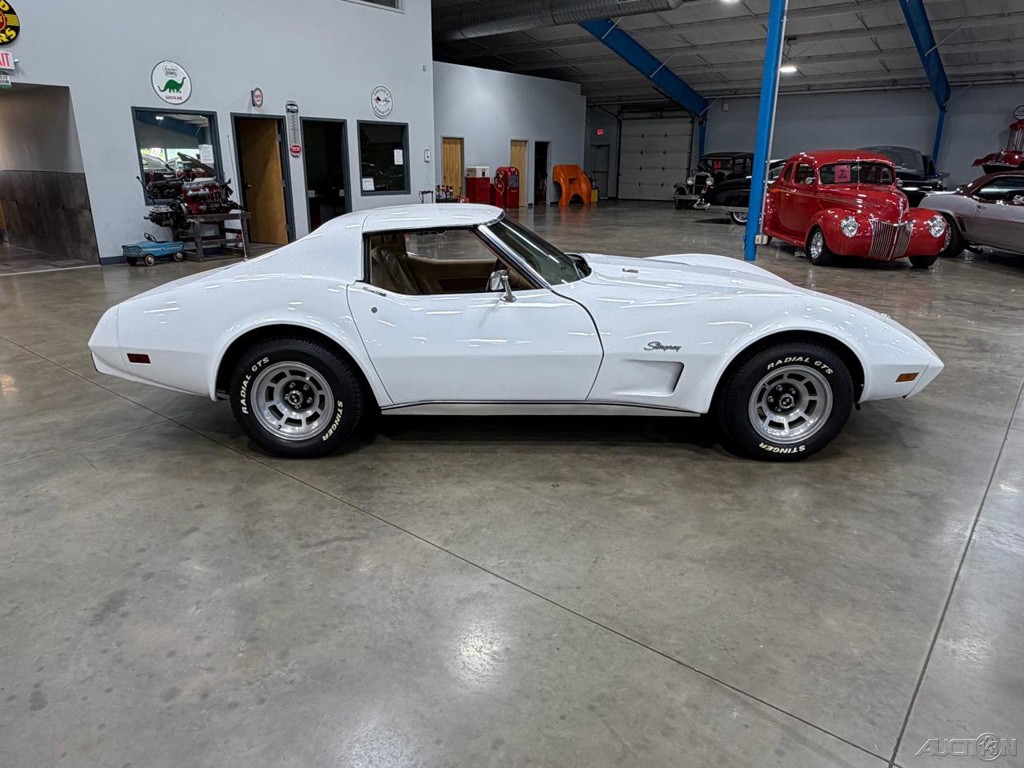 1976 White Chevrolet Corvette   | C3 Corvette Photo 2
