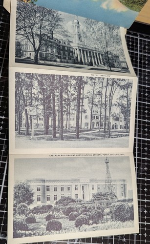 Penn State Souvenir Ordner UNP State College of Pennsylvania - Bild 6 von 8