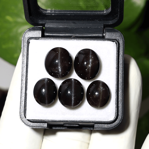 Asterismo Estelar ~ 5 piezas Diópsido Natural Ojo de Gato 10mm-12mm Raras Cabujón Gemas - Imagen 1 de 10
