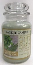 Yankee Candle EUCALYPTUS & UPLIFTING MINT Large Jar 22 oz Candle NEW