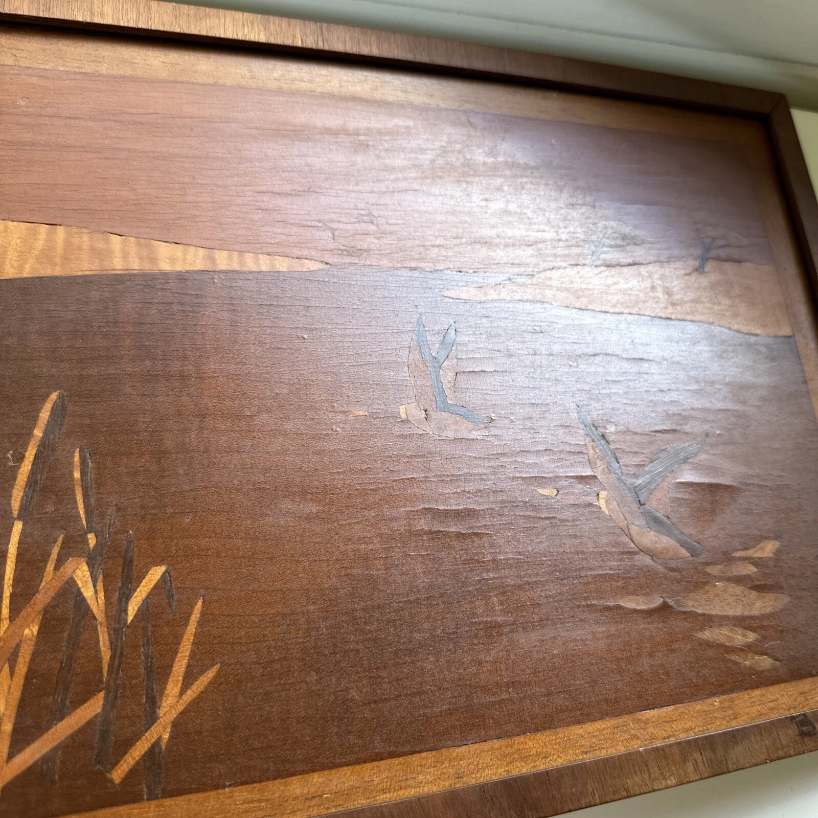 Picture 6 of 21
