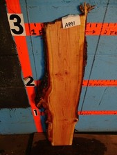 A991 1" THICK cherry burl live edge slab shelf table bench