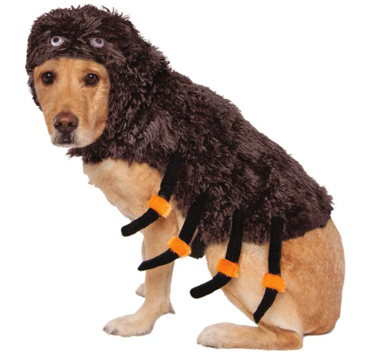 Large dog spider halloween costume cheap