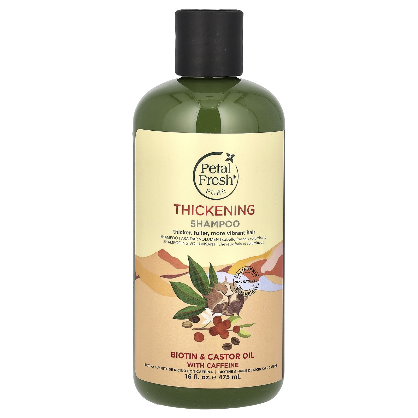 ,  ,      , 16   (475 )