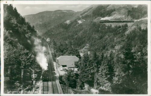 Ansichtskarte Triberg Schwarzwaldbahn Eisenbahn  (Nr.9659)