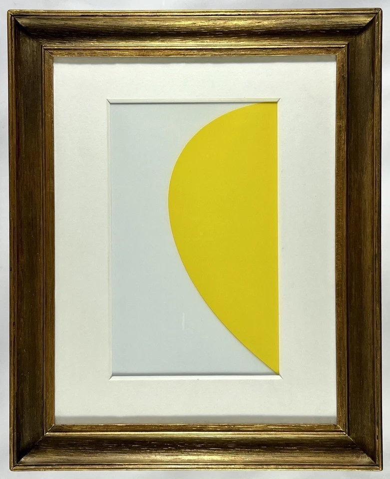 Litografía Heliograbado Relieve Amarillo Ellsworth Kelly Primera Edición Enmarcada 2012 Foto 2 de 4