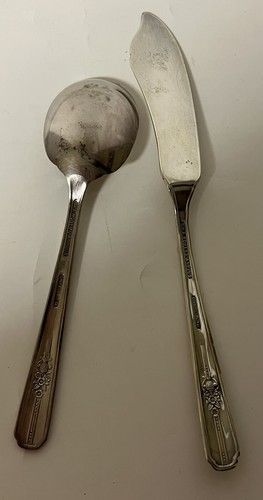 Wm Rogers Oneida Silver Plate Celebrity / Wild Rose Set of 25 Pieces Flatware - Picture 10 of 12