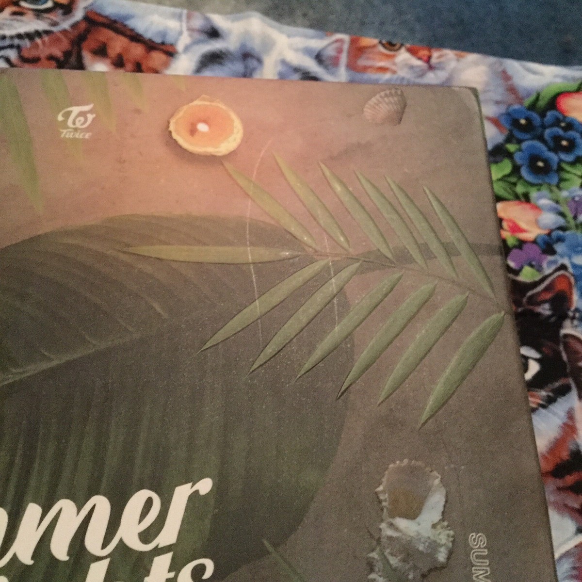 USA Seller} TWICE :: Summer Nights Monograph Photobook [No