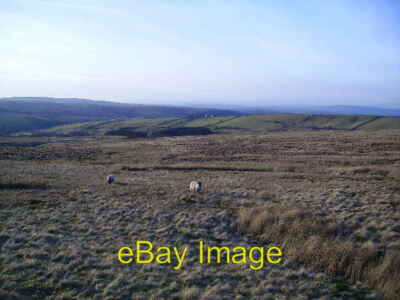 Photo 6x4 Lythe Fell Lowgill/SD6564 From the road over Tatham Fells c2006