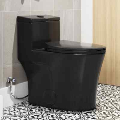 one Piece Toilet 10 '' Rough-In Elongated ADA height seat Dual Flush Black