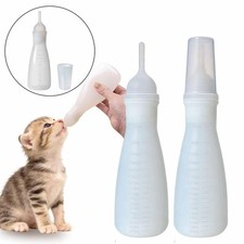 Cucciolo Gattino Allattamento Biberon Bere Furetti Animale Domestico Gatto