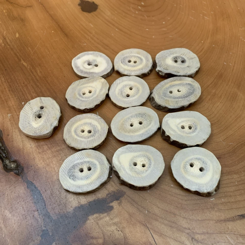 13 Antler Buttons 1 1/4-1 1/2”/ Two Hole Solid Bone / Natural Color - Image 2 of 4