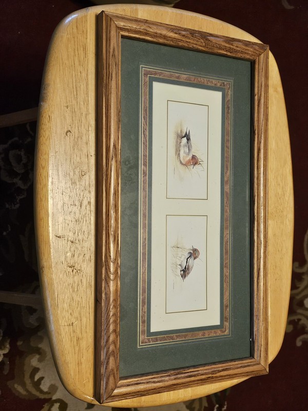 Framed Prints of Two Different Duck Species Signed Artist Joel Kirk 9.5" x 17.5"