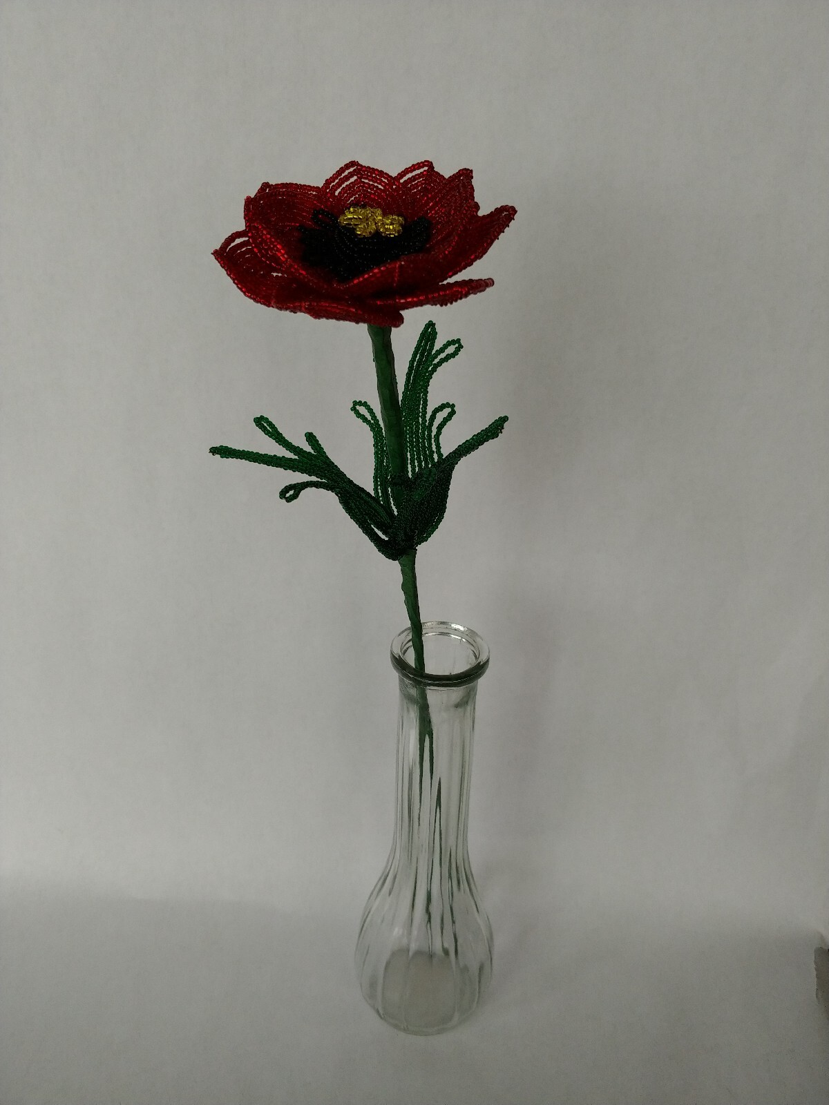 Picture 5 of 6