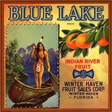 Winter Haven Florida Blue Lake Orange Fruit Crate Retro Label Art Print 11x11