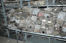 250+- Mopar Carter Afb & Avs 4 Barrel Carburetor Used All Engines Sizes 273-440