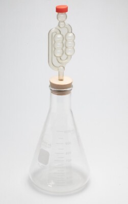 1000ml PYREX ERLENMEYER FLASK FERMENTATION AIRLOCK STOPPER BREW YEAST START KIT
