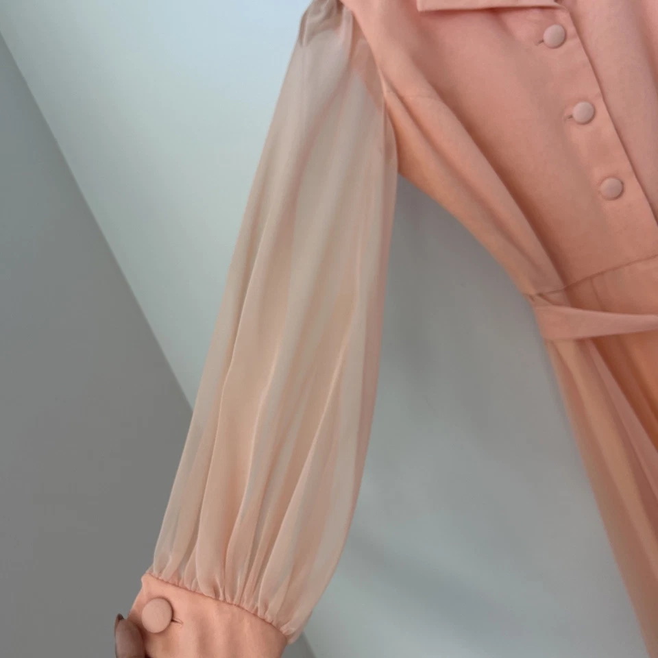 Vestido Maxi Formal Anfitriona Años 60 Miss Elliette Naranja Melocotón Gasa 8 Foto 4 de 4