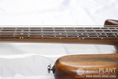 Washburn TAURUS T24 | eBay