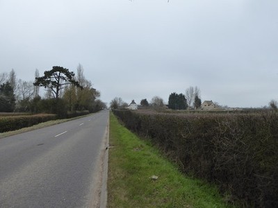 Photo 6x4 South Leigh Farm Hillside/SU0692  c2017