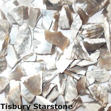 CRYSTAL NATURAL ROUGH STONE  MINERAL SPECIMEN 10g PICK N MIX Fossils UK Seller