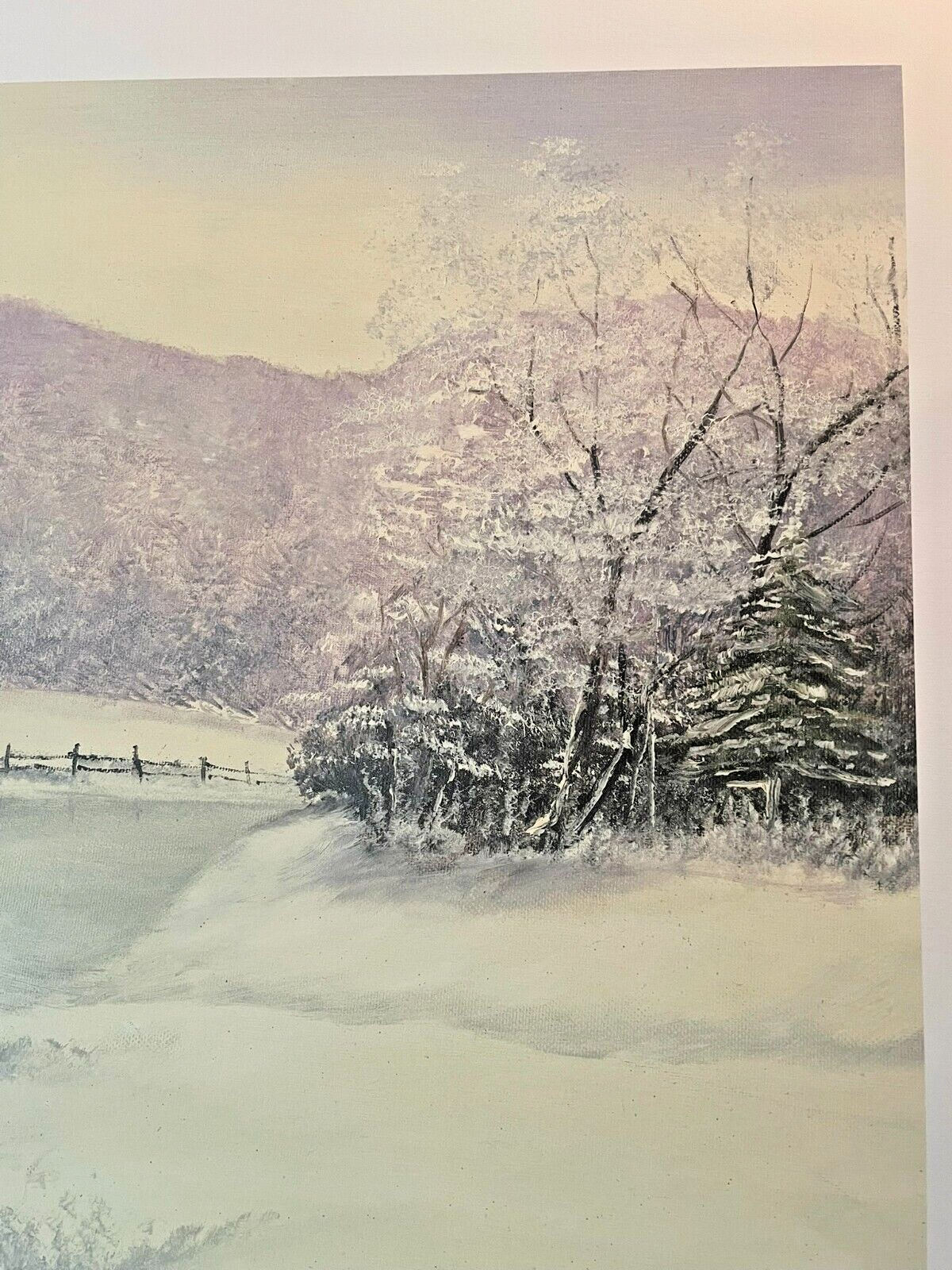 Picture 6 of 9