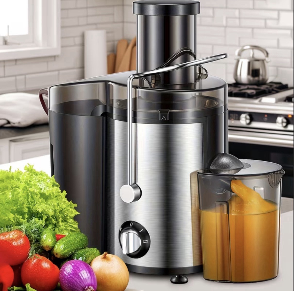 Stainless Steel Centrifugal Juicer Electric 2-Speed with Juice Container