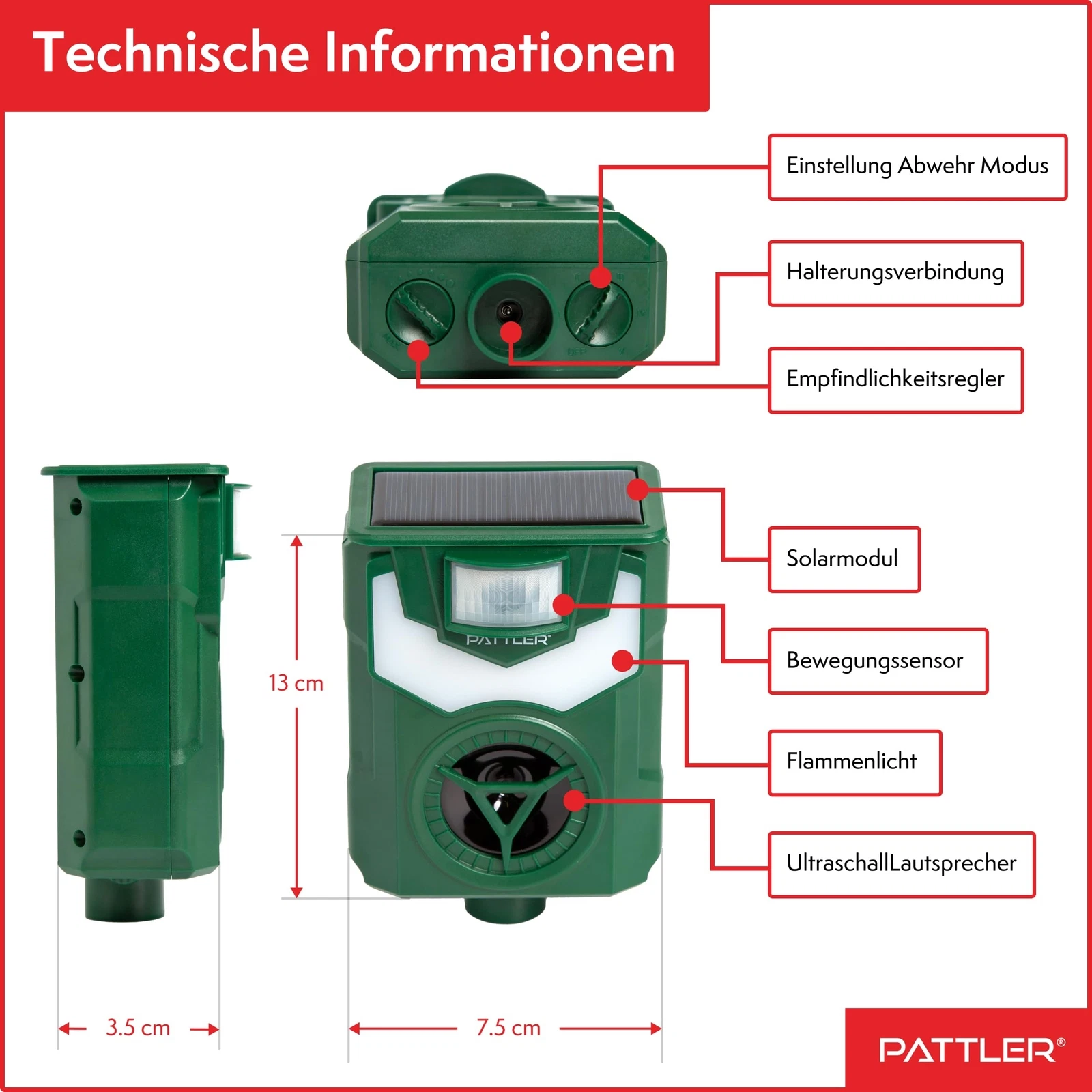 Bild 2 von 8