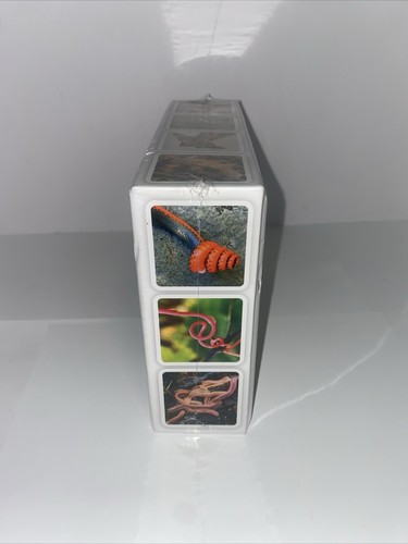 OuiSi Nature Visual Connection 210 Connecting Photo Cards Games Activities New - Picture 2 of 7