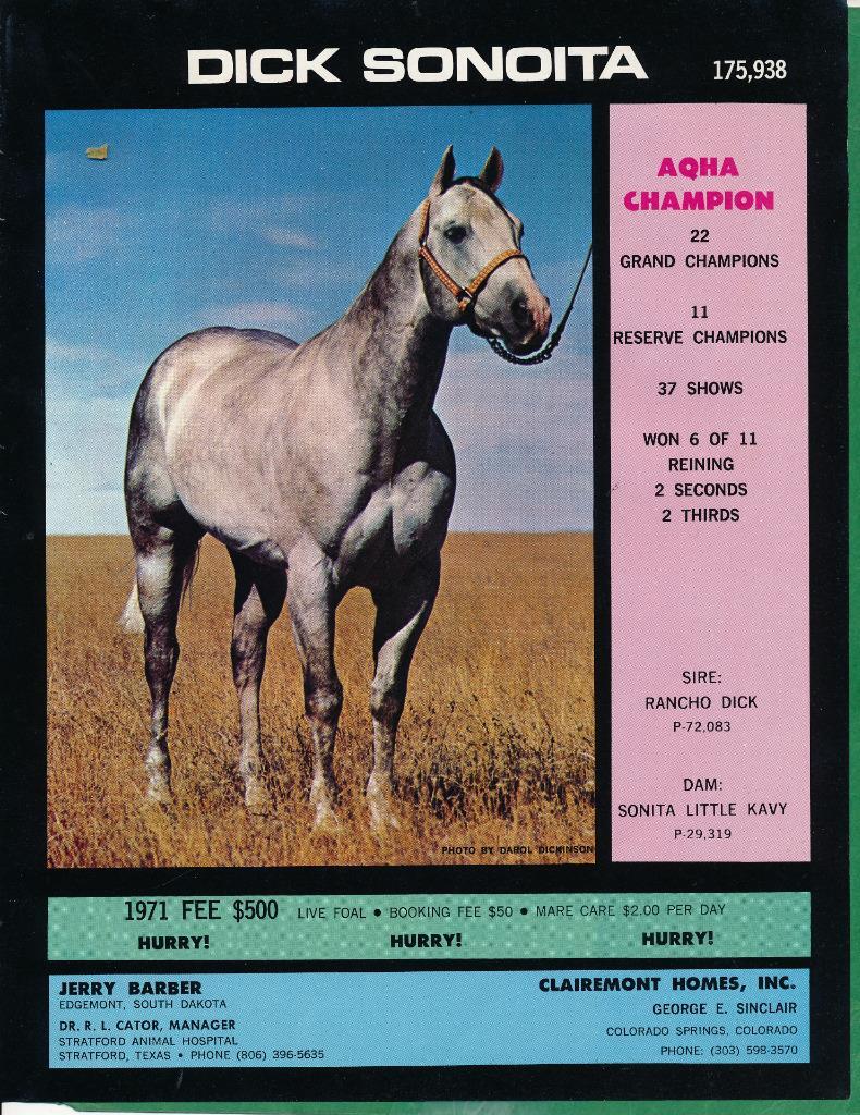 Magazine Ad 1971 Barber Horse Farm, Edgemont, SD DICK SONOITA