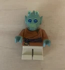 LEGO Star Wars Wald Minifigure Pre Owned