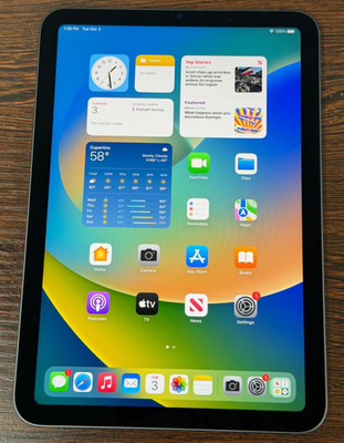 Apple iPad mini (6th Generation) 64GB Wi-Fi - Gray - 91% Batt - Excellent Cond