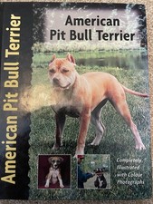 American Pit Bull Terrier By F Favorito