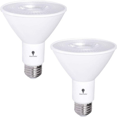 2 Pack PAR30 Outdoor LED Flood Light Bulb 12W 100 Watt Equivalent 900 Lumens Dim