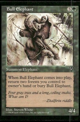Bull Elephant C Visions MP