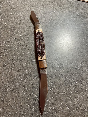 ixl george wostenholm sheffield england 2 blade pocket knife - Picture 3 of 23