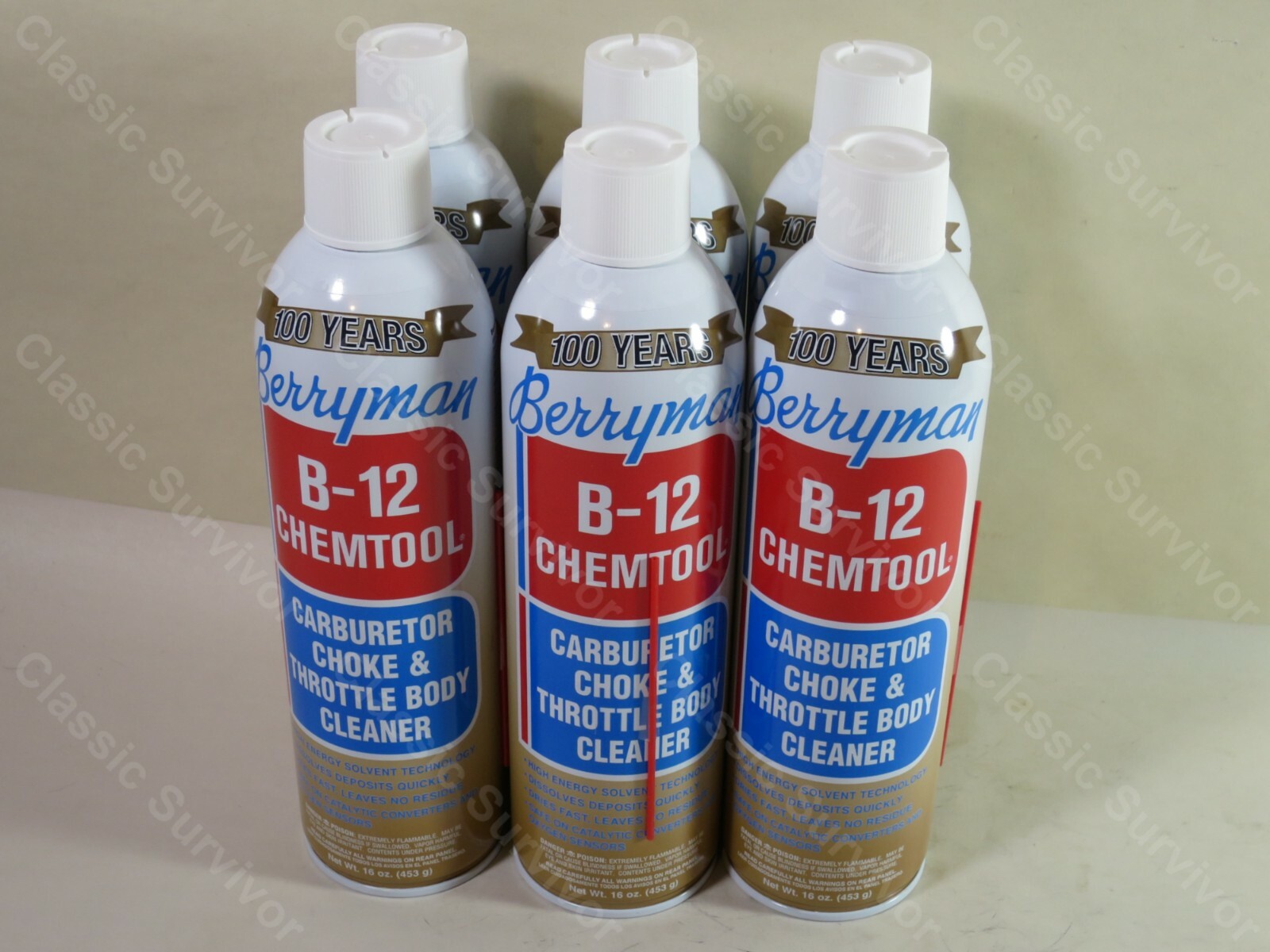 Berryman 0117 B12 Chemtool Carburetor Choke and Throttle Body Cleaner