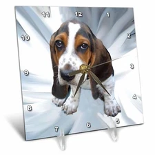 3dRose LLC Basset Hound Desk Clock, 6 by 6-Inch 6x6 Desk Clock