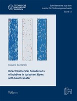 Direct Numerical Simulations Of Bubbles In Turbulent Flows With Heat Transfer Cl
