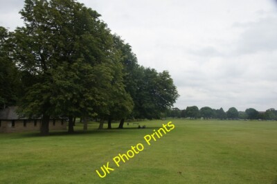 Foto 6x4 Der Streuner, Harrogate auch bekannt als der zweihundert Hektar. c2015