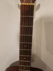 Picture 5 of 20