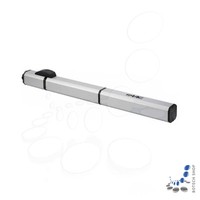 Drehtorantrieb Faac S450H Cbac