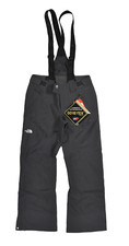 Women's The North Face Graphite Grey Mountain Pro Gore-Tex Ski Snow Pants New