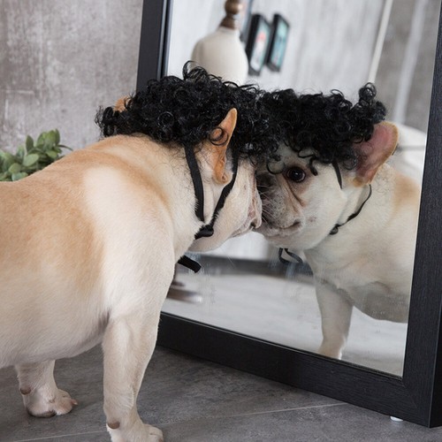 Bandeau D'agneau Accessoires Cheveux En Peluche Bandeaux D'animaux