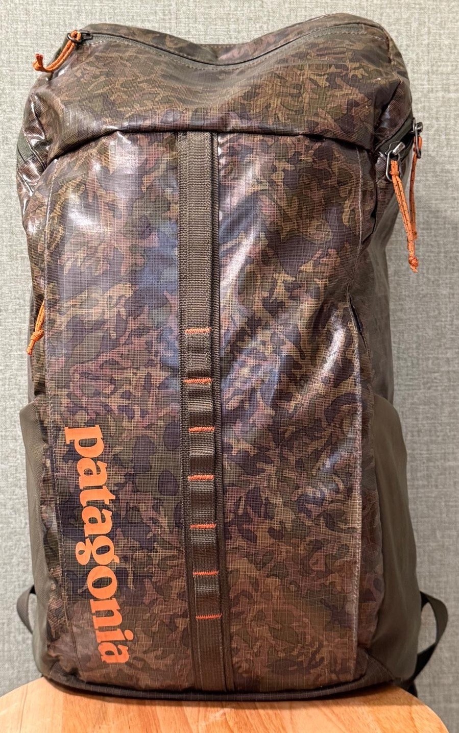 Mochila Patagonia 25L Agujero Negro Liquen Cuenca Verde Camuflaje Estilo # 49297FA22